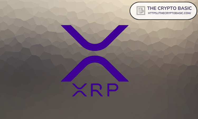 Pundit explores how 1,000 XRP can provide significant financial returns