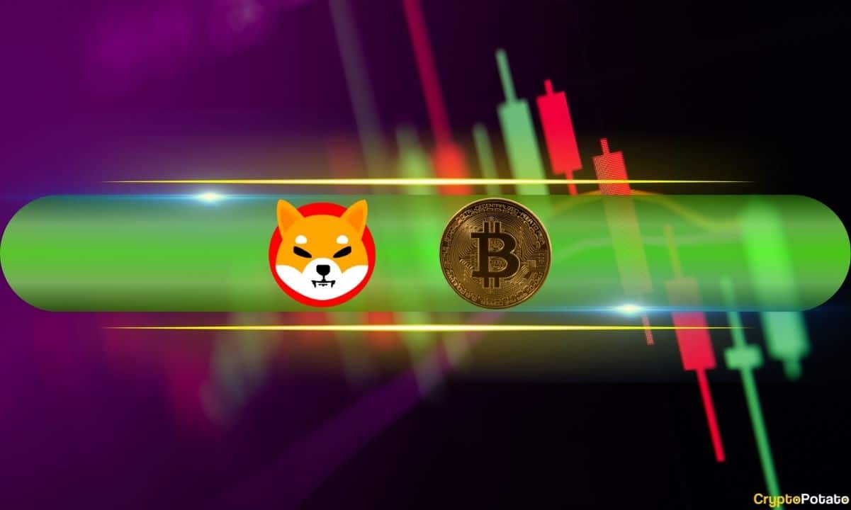 Bitcoin Price Rises to $63K, Shiba Inu Gains 6% Daily (Market Watch)