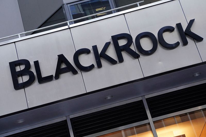 BlackRock ETF becomes world's largest bitcoin fund, Bloomberg News reports