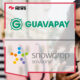 Guavapay and Snowdrop to Enhance User Payment Experience