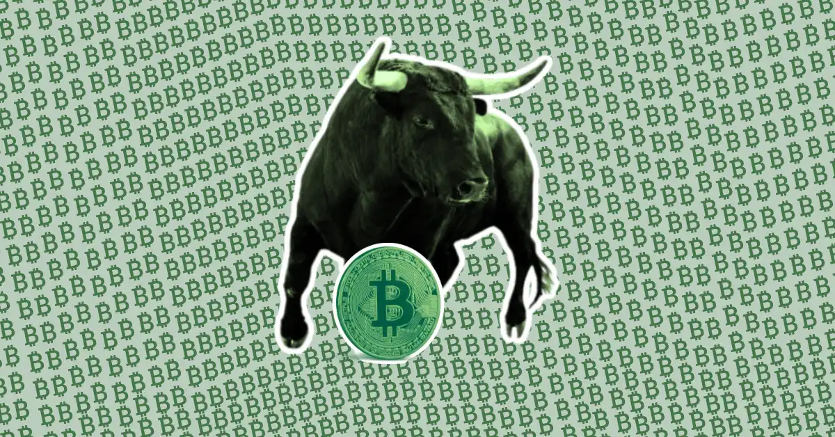 Is the next bull run getting ready?