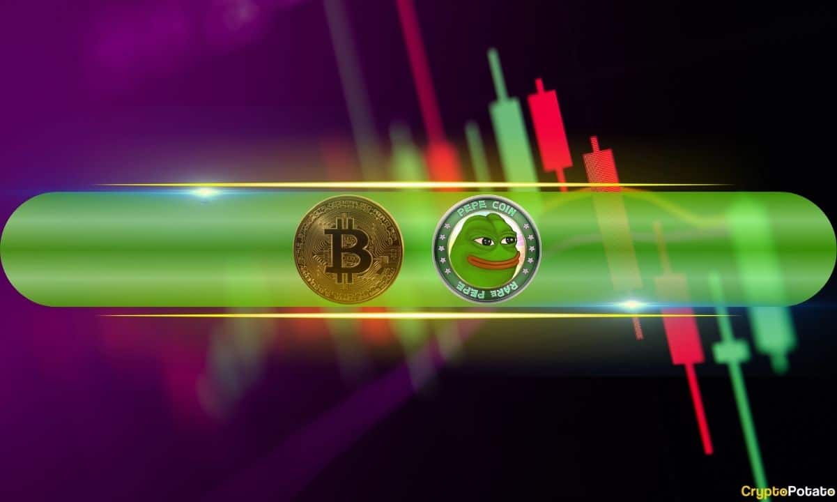 These Meme Coins Explode Daily As Bitcoin Faces Increased Volatility (Market Watch)