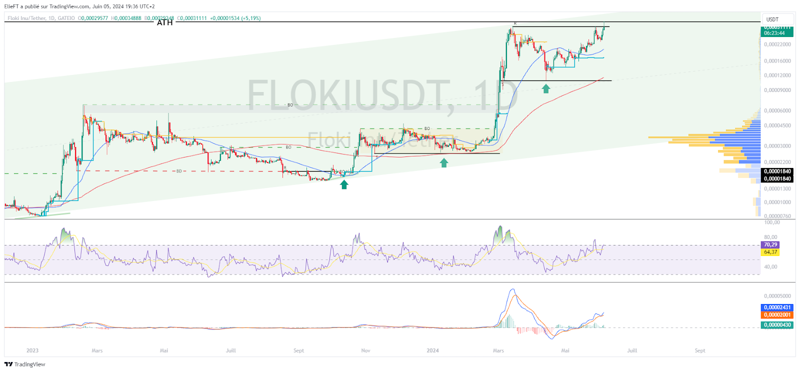 FLOKI/USD daily price chart