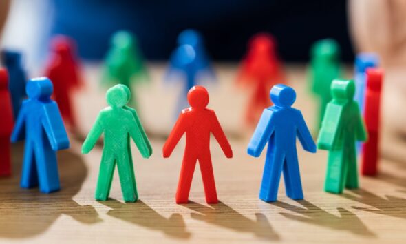 inclusion