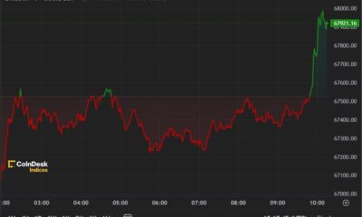 Bitcoin Stabilizes Amid New ETF Outflows