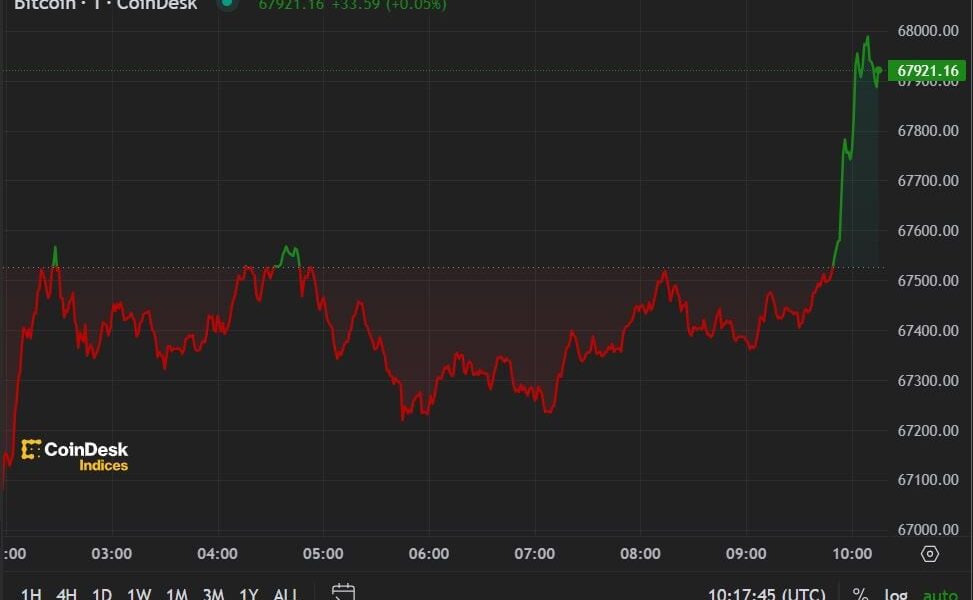 Bitcoin Stabilizes Amid New ETF Outflows