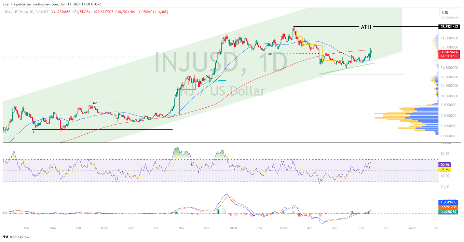 INJ/USD Chart (1D)