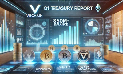 Balance of $550 million + Bitcoin, VET and ETH revealed