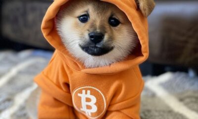 Bitcoin-Based Meme Coin DOG Soars Toward $1 Billion Market Cap on Runes Protocol