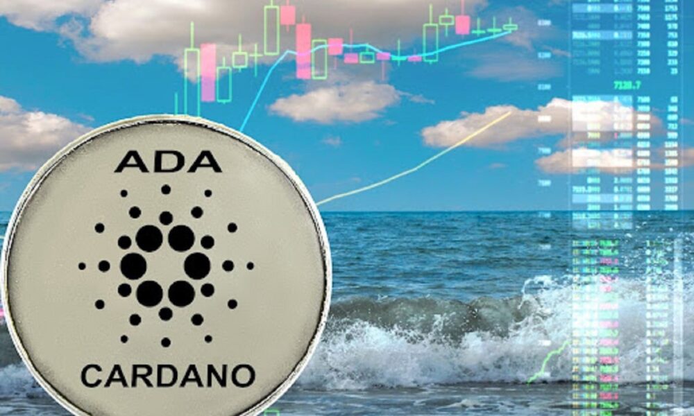 Cardano