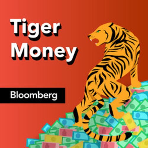 Crypto still in its infancy, with market cap of $2.6 trillion: Tiger Money