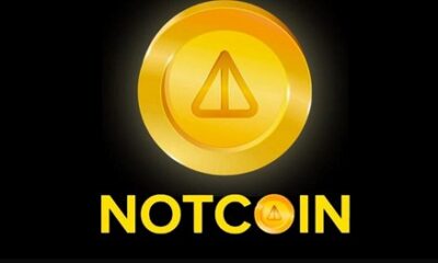 Notcoin token rises 400% and becomes best-performing asset in the crypto market