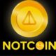 Notcoin token rises 400% and becomes best-performing asset in the crypto market