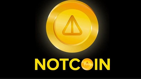 Notcoin token rises 400% and becomes best-performing asset in the crypto market