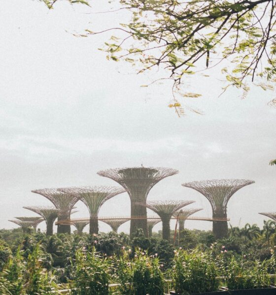 Finovate Global Singapore: AI, Quantum Computing, and Sustainable SMEs