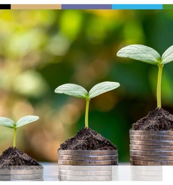 M2P Fintech About to Raise $80M