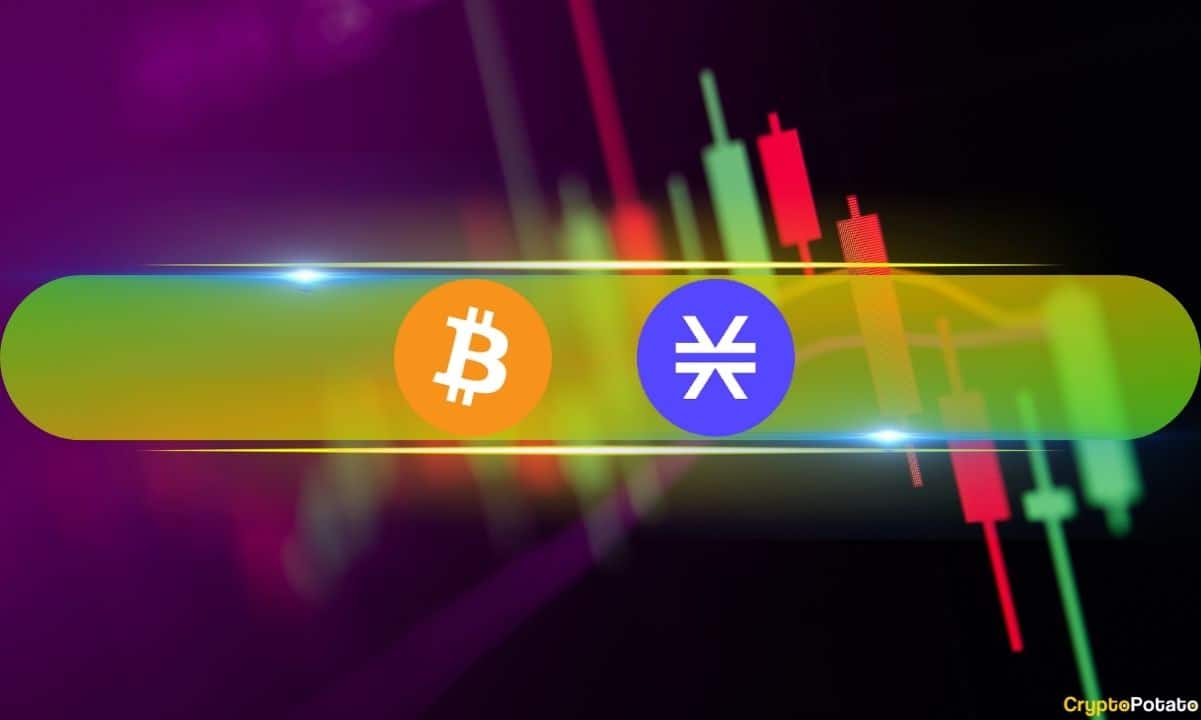 BTC Drops Back to $58K After Failing to Challenge $60K, STX Surges 14% Daily (Market Watch)