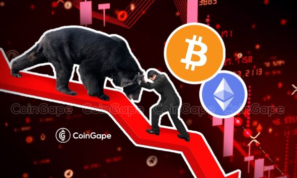 Crypto market crash fails to shake VanEck CEO’s bullish outlook