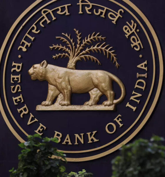Fintech personal loan size declines as youth borrowing increases: RBI report