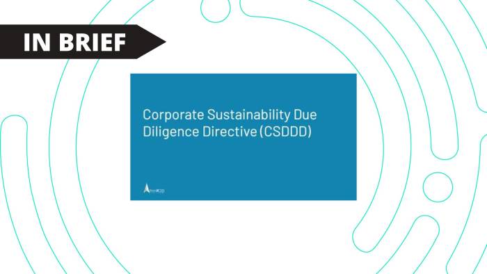 How Companies Can Prepare for CSDDD Compliance by 2027