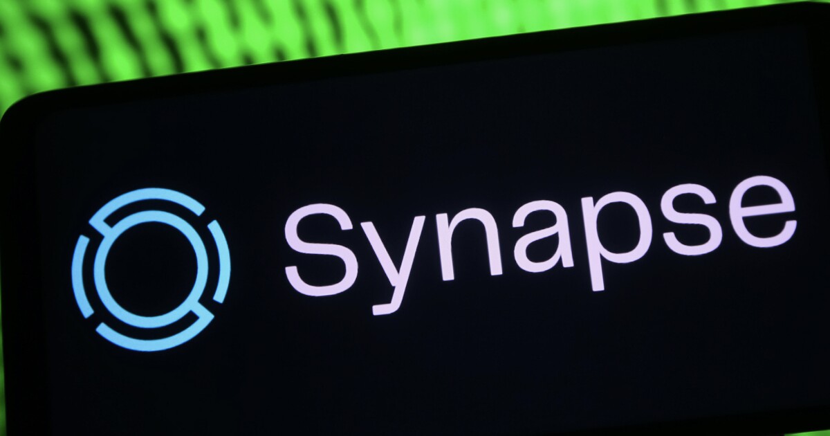 "It's Always a Black Box": The Ordeal of a Fintech Working with Synapse