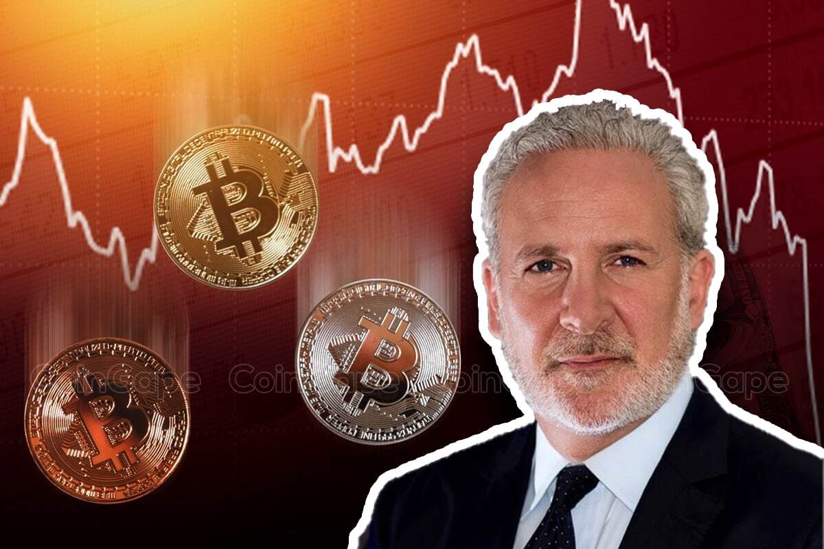 Peter Schiff Criticizes Bitcoin Bulls, Mocks Institutional Demand