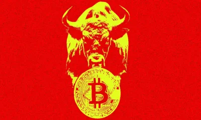 Why is the cryptocurrency market bullish today? Has the bull run begun?